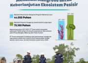 Langkah Konkrit Menjaga Ekosistem Pesisir, PT Timah Telah Tanam 119.150 Mangrove di Wilayah Operasional Perusahaan