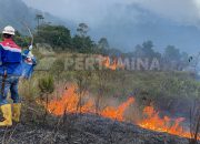 Respons Cepat Pertamina Geothermal Energy Area Kamojang Bantu Padamkan Kebakaran Hutan Gunung Guntur