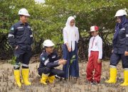 Gencarkan Penanaman Mangrove, Langkah Nyata PT Timah Dalam Mitigasi Perubahan Iklim