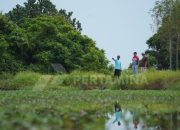 Bertambah Lagi, Desa Energi Berdikari Hadir di Indramayu Wujudkan Ketahanan Pangan dan Energi