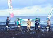 Cegah Abrasi dan Jaga Ekosistem Pesisir, PT Timah Tanam 3000 Mangrove di Pantai Sesai Party Beach