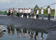 Pemberdayaan Sektor Perikanan Menjanjikan untuk Ketahanan Pangan