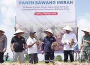 Panen Raya Bawang Merah, Pj Gubernur Babel Apresiasi Komitmen PT Timah dalam Wujudkan Ketahanan Pangan Daerah