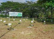 Kolaborasi Tingkatkan Ketahanan Energi, PT Timah Bersama PLN dan METI Tanam 1500 Pohon Angsana di Taman Energi Balai Karya