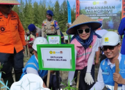 PLN UIW Babel Bersama Forkopimda dan Basarnas Hijaukan Pesisir Bangka