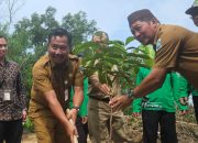 Peringati Hari Bumi, Kemenag Pangkalpinang Laksanakan Program Tanam 1 Juta Pohon Matoa