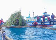 PT Timah dan Nelayan Matras Tenggelamkan Rumpon untuk Dukung Ekosistem Laut