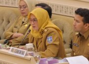 Wagub Babel Soroti Penyaluran Dana Transfer dan Tantangan Pembangunan Daerah dalam Rapat Komisi II DPR RI