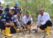 Tanam 2.500 Bibit Mangrove, PT Timah Tegaskan Komitmen Lingkungan di Karimun