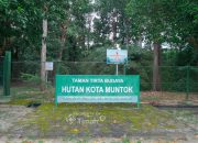 PT Timah dan Hutan Kota Mentok: Komitmen Nyata untuk Alam Bangka