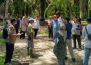Petani Kelurahan Kelapa Menang Gugatan, PTUN Cabut Surat Aset Pemda Babar Seluas Hektar