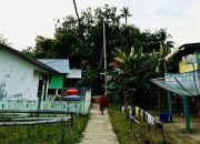 PLN Jaga Keandalan Listrik di Pulau Buku Limau Lewat Pemeliharaan Jaringan
