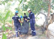 PT Timah Tbk Peringati Hari Lingkungan Hidup 2025 dengan Aksi Bersih Pantai dan Tanam Pohon di Kundur