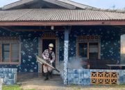 Gerak Cepat Cegah DBD, PT Timah Lakukan Fogging di Desa Gemuruh