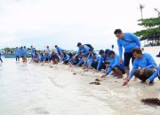 Jaga Kelestarian Ekosistem Laut, PT Timah Tbk Bersama AAI Sumbagsel Lepasliar Tukik Sisik di Pulau Kelayang