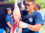 PLN UIW Babel Salurkan 1.200 Paket Daging Kurban, Wujud Kepedulian Sosial di Momen Iduladha 1446 H