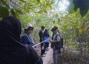 PT Timah Dukung Praktikum Mahasiswa UMBB di Ekosistem Pesisir Pulau Kelapan