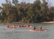 Lestarikan Lingkungan dan Budaya Masyarakar Pesisir, PT Timah Dukung Lomba Dayung dan Penanaman Mangrove Bersama HNSI Bangka