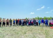 Jaga Ekosistem Pesisir, PT Timah Bersama HNSI Bangka Tanam Ribuan Mangrove di Nelayan II Sungailiat 