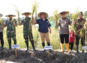 Panen Raya Dusun Air Asam, Gubernur Optimistis Babel Capai Swasembada Pangan