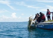 Coral Garden PT Timah: Kolaborasi Rawat Laut yang Hasilkan Ikan, Wisata, dan Harapan Baru