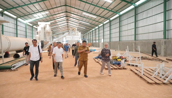 Pabrik Plywood Sengon Rp500 Miliar di Beltim Siap Beroperasi September, Gubernur Harap Dongkrak Ekonomi dan Ekspor
