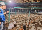 Pemerintah Pastikan Tarif Listrik Tetap, Daya Beli Masyarakat Terjaga