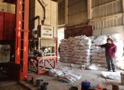 Bulog Kembali Serap Gabah Petani Desa Rias, Gubernur Babel Pastikan Kantong Ekonomi Petani Terisi