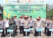 Polda Babel Tanam 14 Hektare Jagung Dukung Ketahanan Pangan Nasional