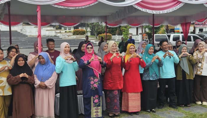 Cece Dessy: Menjaga Ibu Hamil Berarti Menjaga Generasi Pangkalpinang