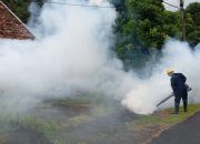 PT TIMAH Tbk Gencarkan Fogging dan Edukasi PHBS untuk Cegah DBD di Lingkungan Kerja