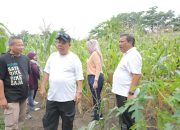 Gubernur Hidayat Arsani Turun Tangan Gotong Royong Bersihkan Lingkungan di Pangkalpinang