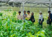 Duta Minerba Akui Terpukau! Melihat Langsung Fakta Pertambangan Berkelanjutan PT TIMAH Tbk
