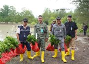 Lewat Program TJSL, PT TIMAH Tbk Tanam Belasan Ribu Mangrove di Kundur dan Meranti untuk Jaga Ekosistem Pesisir