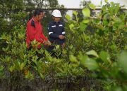 PT TIMAH Tbk Konsisten Dorong Pelestarian Lingkungan Melalui Program Seribu Pohon untuk Negeri