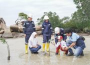PT TIMAH Libatkan Pelajar Tanam Mangrove, Perkuat Edukasi Lingkungan Pesisir di Bangka
