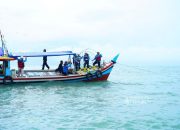 PT TIMAH Tbk Tenggelamkan 1.920 Artificial Reef, Perkuat Reklamasi Laut di Babel
