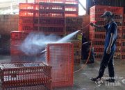 Perkuat Ekonomi Kerakyatan, PT TIMAH Siapkan Beragam Program Pengembangan UMKM