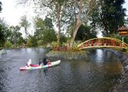 Hijau, Nyaman, dan Edukatif: Tins Green Garden Foresttree Jadi Destinasi Favorit Warga