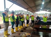 PT TIMAH Ajak Investor Intip Langsung Proses Bisnis, Susuri Tambang Hingga Pabrik Pengolahan
