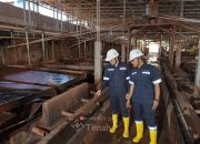 Optimalkan Kinerja Keuangan dan Tata Kelola, Laba TINS Tembus Rp1,31 Triliun