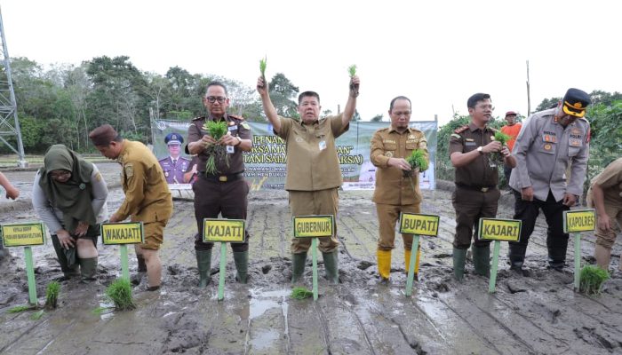 Replikasi Program ‘Jaksa Mandiri Pangan’ Didorong untuk Perkuat Ketahanan Pangan dan Kesejahteraan Petani di Babel