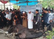 Wali Kota Udin Hadiri Penyembelihan Bantuan Sapi APBN di Ketapang