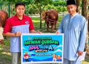 JNE Kurban 30 Sapi pada Iduladha 1447 H, Hadirkan Promo hingga Diskon Pengiriman 50 Persen