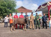Di Momen Iduladha dan HUT ke-23 Kabupaten Bangka Barat, PT TIMAH Berbagi Kebahagiaan Lewat Hewan Kurban
