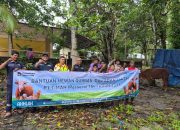 Hadir Lebih Dekat dengan Masyarakat, PT TIMAH Bagikan Puluhan Sapi Kurban di Pulau Belitung