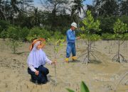 Puluhan Ribu Mangrove Ditanam Sepanjang 2025, PT TIMAH Dukung Target Net Zero Emissions 2060