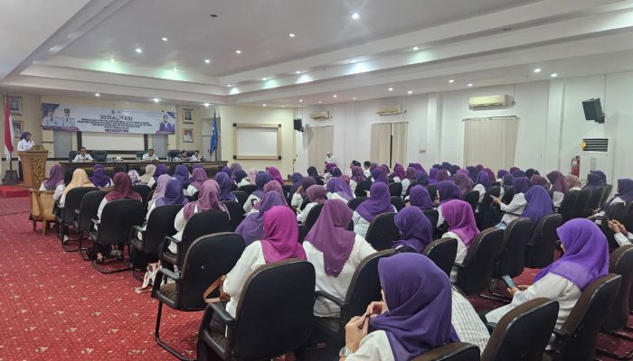 Ketua TP Posyandu Pangkalpinang Perkuat Transformasi 119 Posyandu, Dorong Sinergi Lawan AIDS, TB dan Malaria