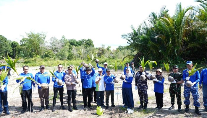 PLN UIW Babel Tanam 4.000 Bibit Kelapa dan Mangrove Pulihkan Pesisir Kritis Pantai Temberan