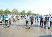 Pemprov Babel dan PKK Tanam Mangrove di Bangka Tengah, Perkuat Upaya Pelestarian Lingkungan Pesisir
